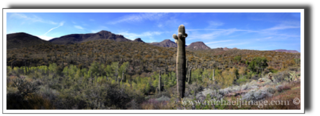 "saguaro vista" 
spur cross preserve panorama - cave creek, az